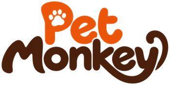 Pet Monkey