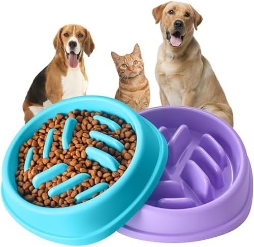 Silicone Dog Slow Feeder Bowl – Anti-Choking Slow Eating Pet Feeding Bowl