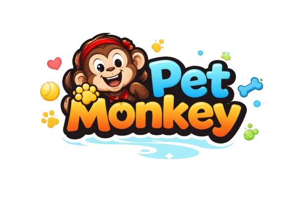 Pet Monkey