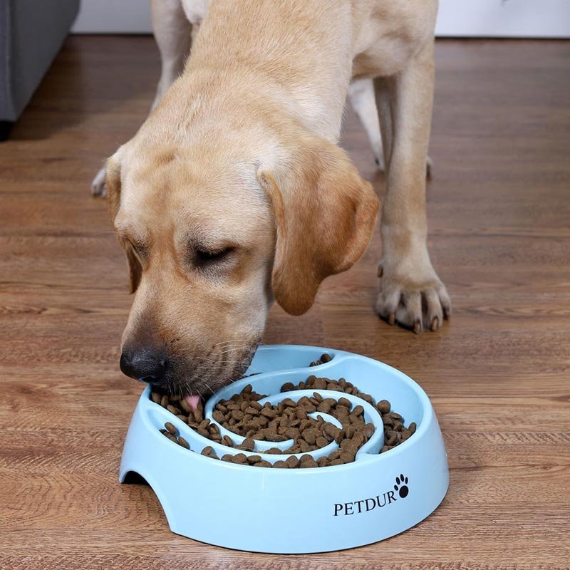 Silicone Dog Slow Feeder Bowl – Anti-Choking Slow Eating Pet Feeding Bowl - Image 4