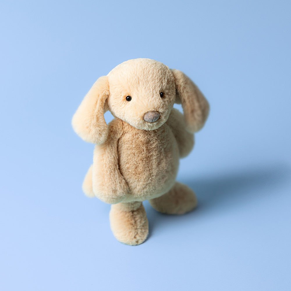 Bashful Luxe Puppy Orlando Big