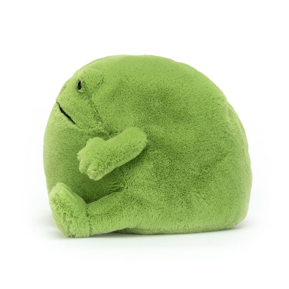 Ricky Rain Frog - Image 3