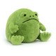 Ricky Rain Frog - Image 2
