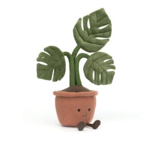 Amuseables Monstera Plant