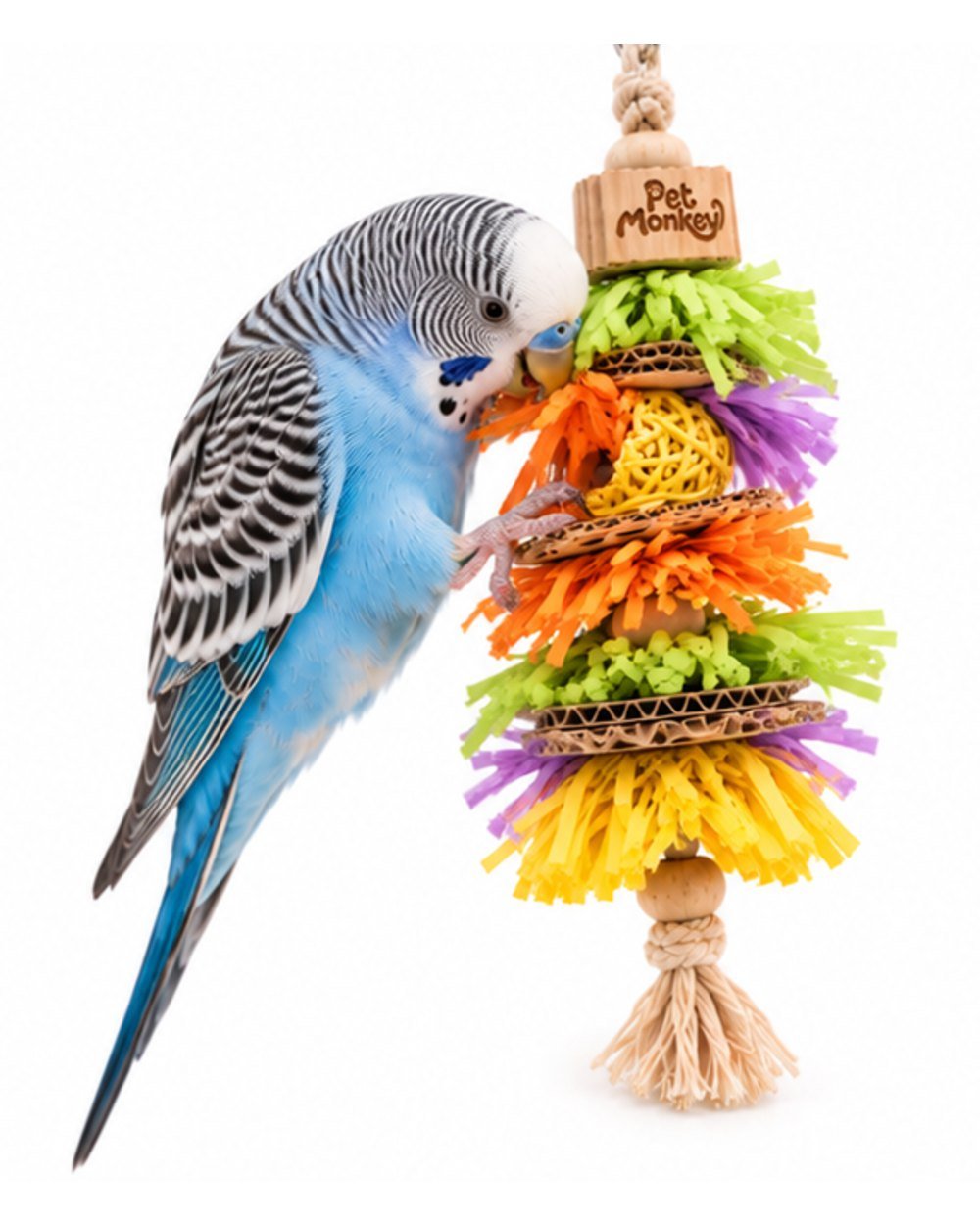 Pet Monkey hanging paper shredder bird toy with a blue budgie shredding the paper layers