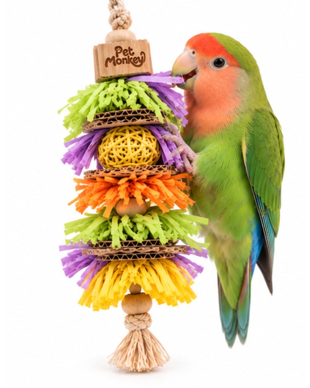Pet Monkey hanging paper shredder bird toy with a peach-faced lovebird pulling at the paper shredder