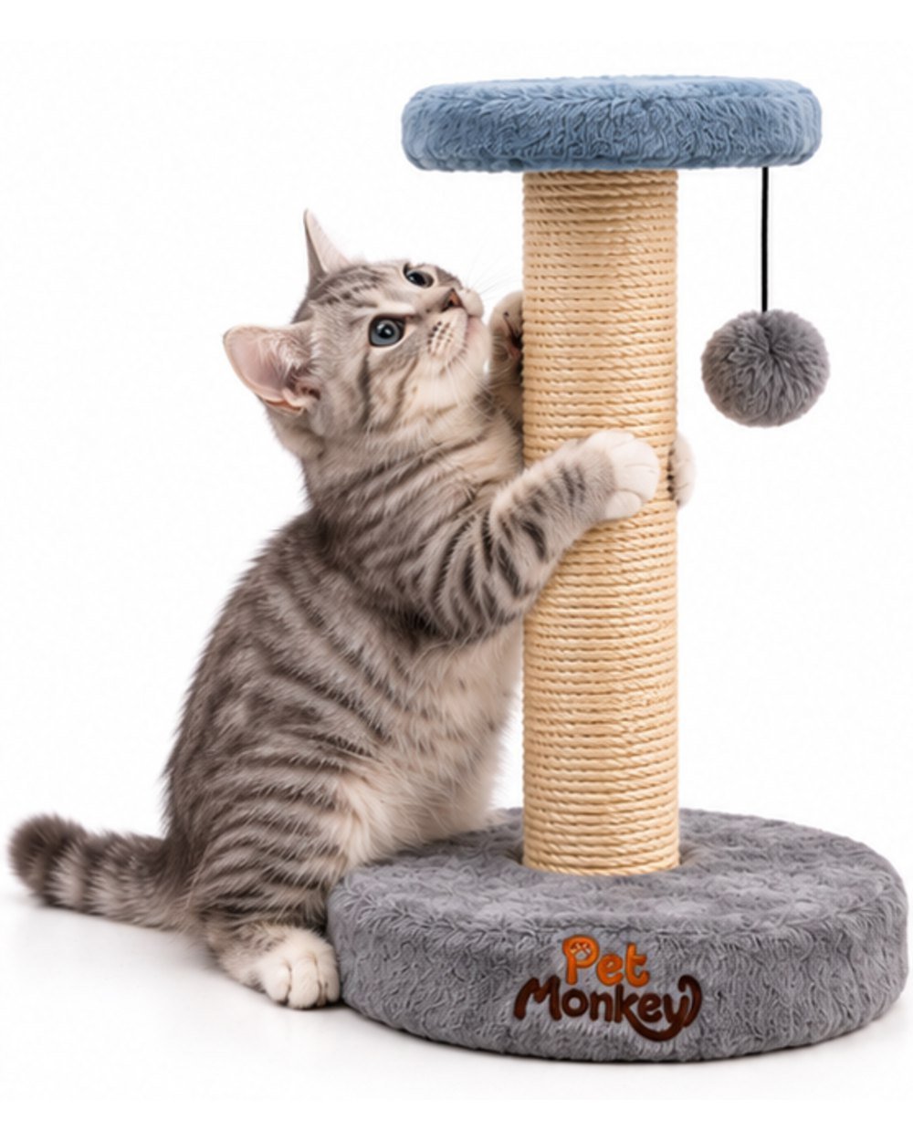 Pet Monkey sisal cat scratching post with a silver tabby kitten climbing the scratching post
