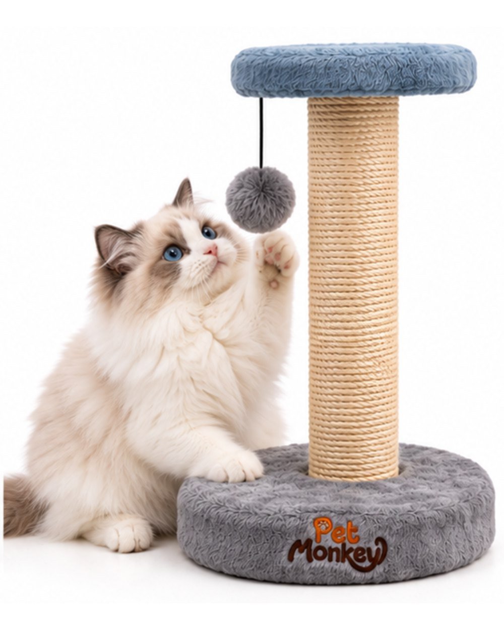 Pet Monkey sisal cat scratching post with a ragdoll cat reaching for the hanging pom-pom