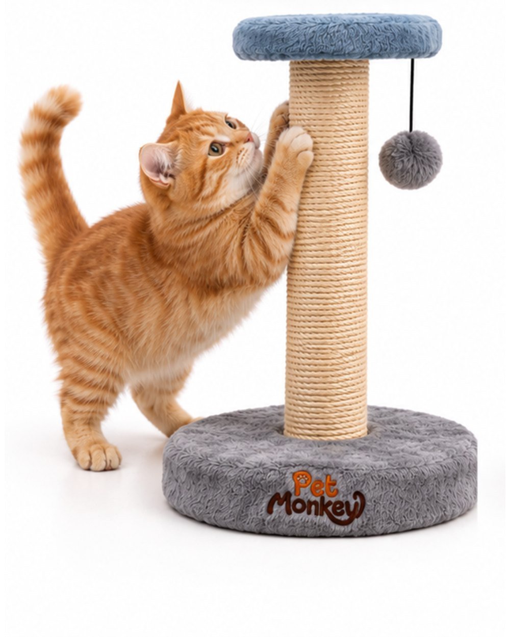 Pet Monkey sisal cat scratching post with a ginger cat stretching up to scratch the sisal post