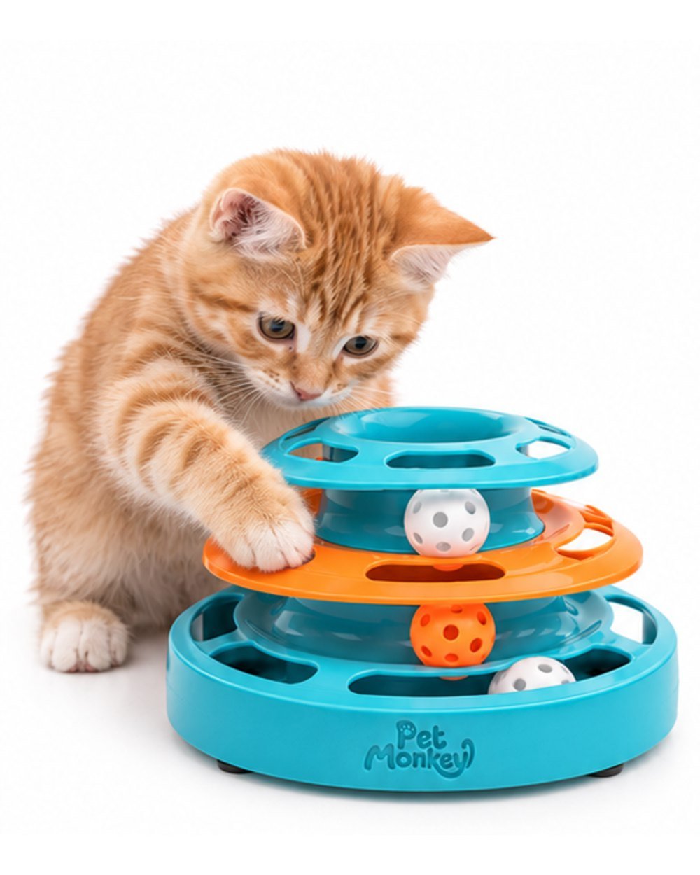 Pet Monkey three-level ball track cat toy with a ginger kitten pawing the ball track