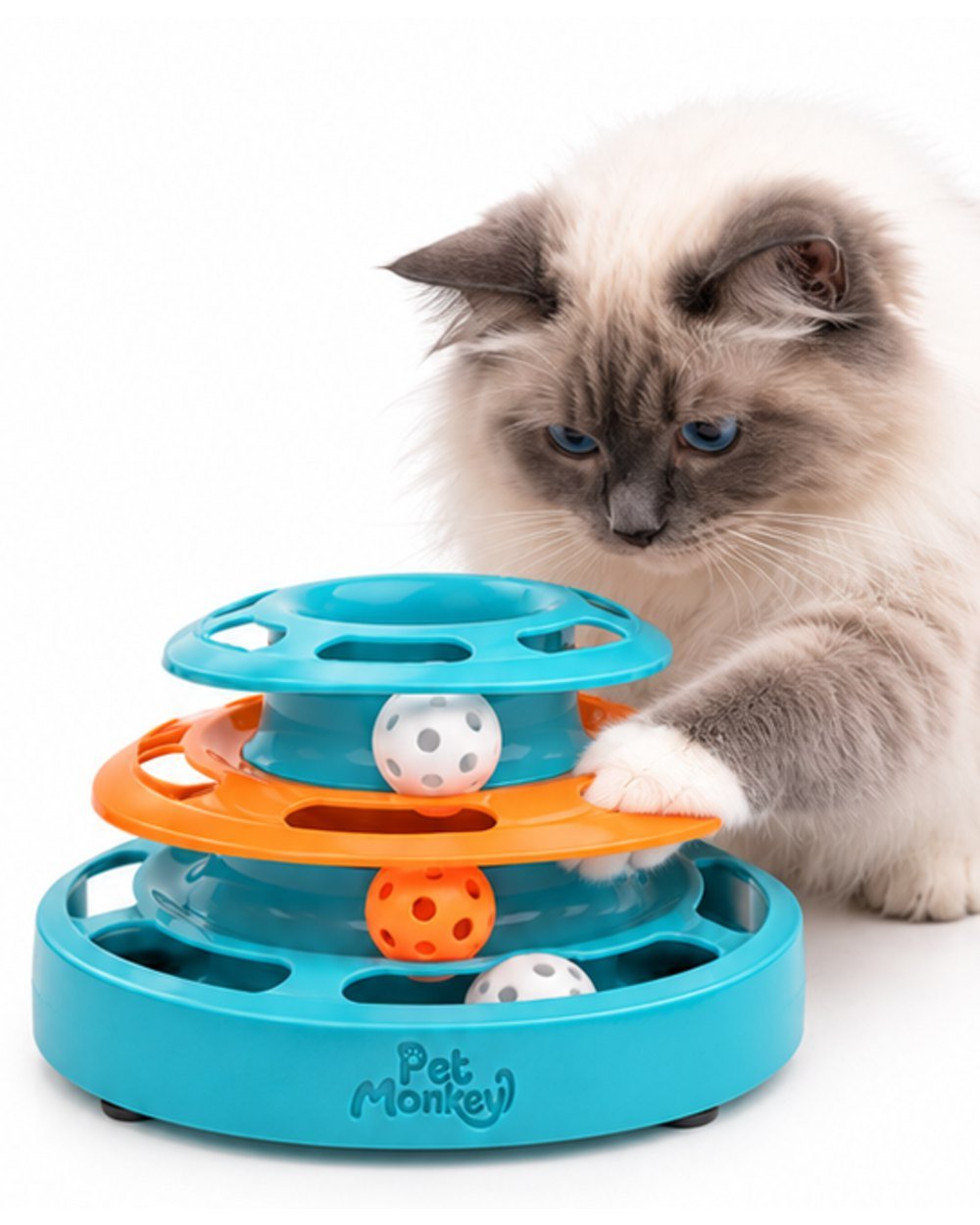 Pet Monkey three-level ball track cat toy with a ragdoll cat reaching into the ball track